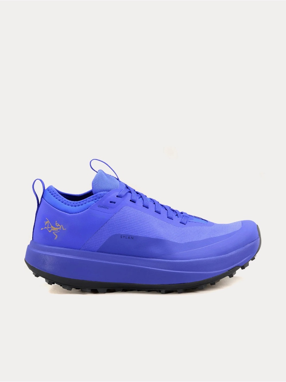 Arc'teryx women’s sylan GTX shoe-Electric Indigo/DK